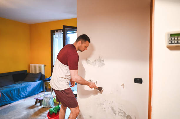 Best Office Mold Removal Services  in Newark, IL
